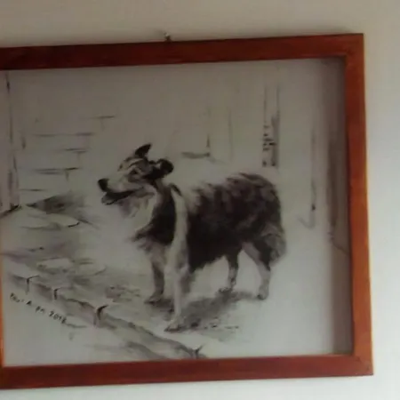 Apartmán Zampa Di Montagna