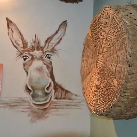 Apartmán Zampa Di Montagna *